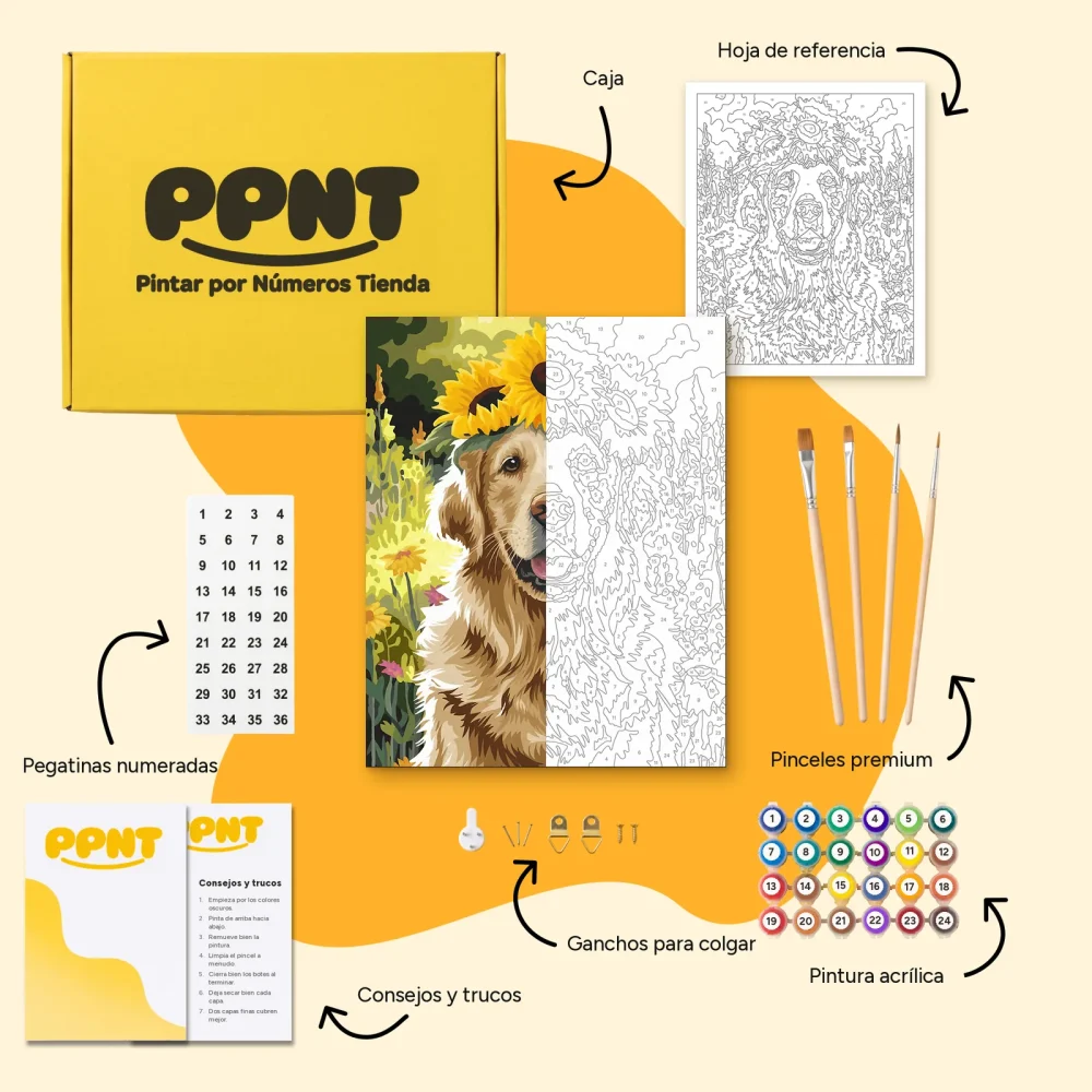 Pintar por Números - Golden retriever con corona de girasoles