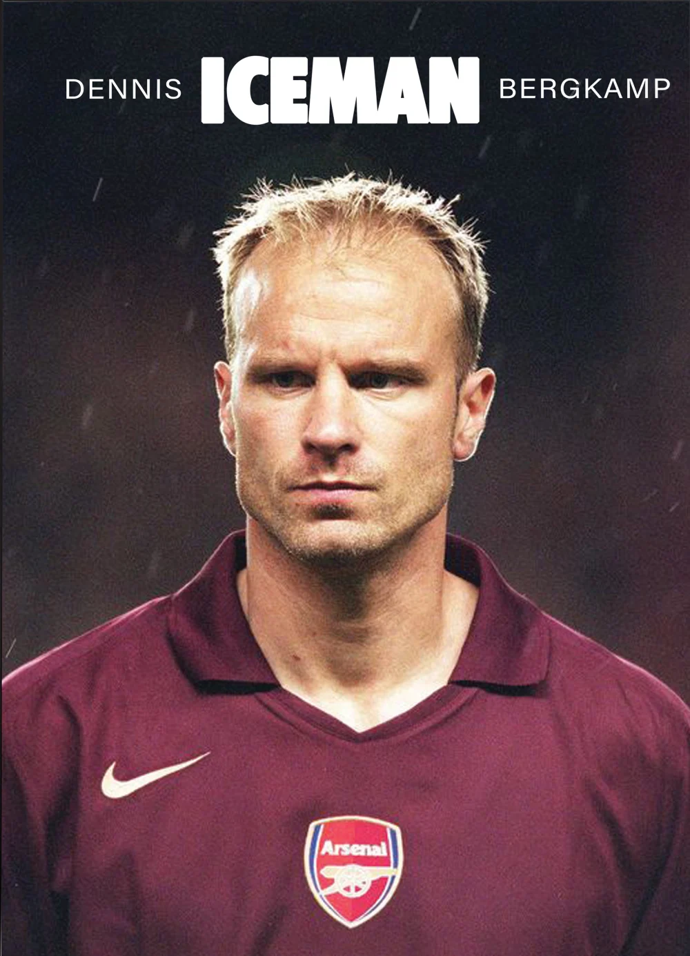 Pintar por Números - Dennis Bergkamp, foto 2