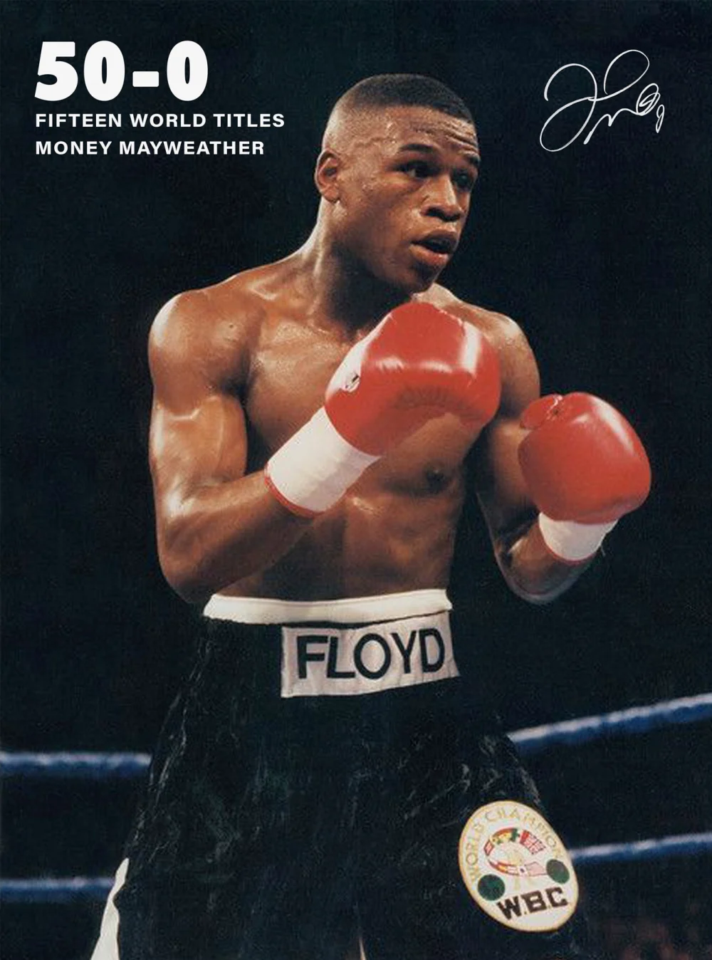 Pintar por Números - Floyd Mayweather, foto 2