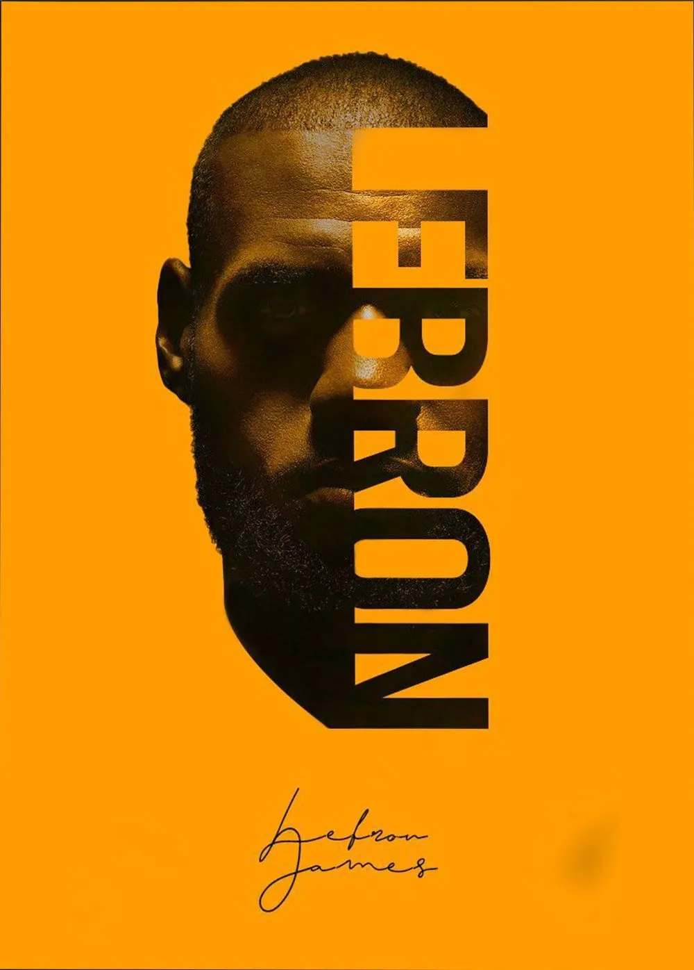 Pintar por Números - Lebron James, foto 2