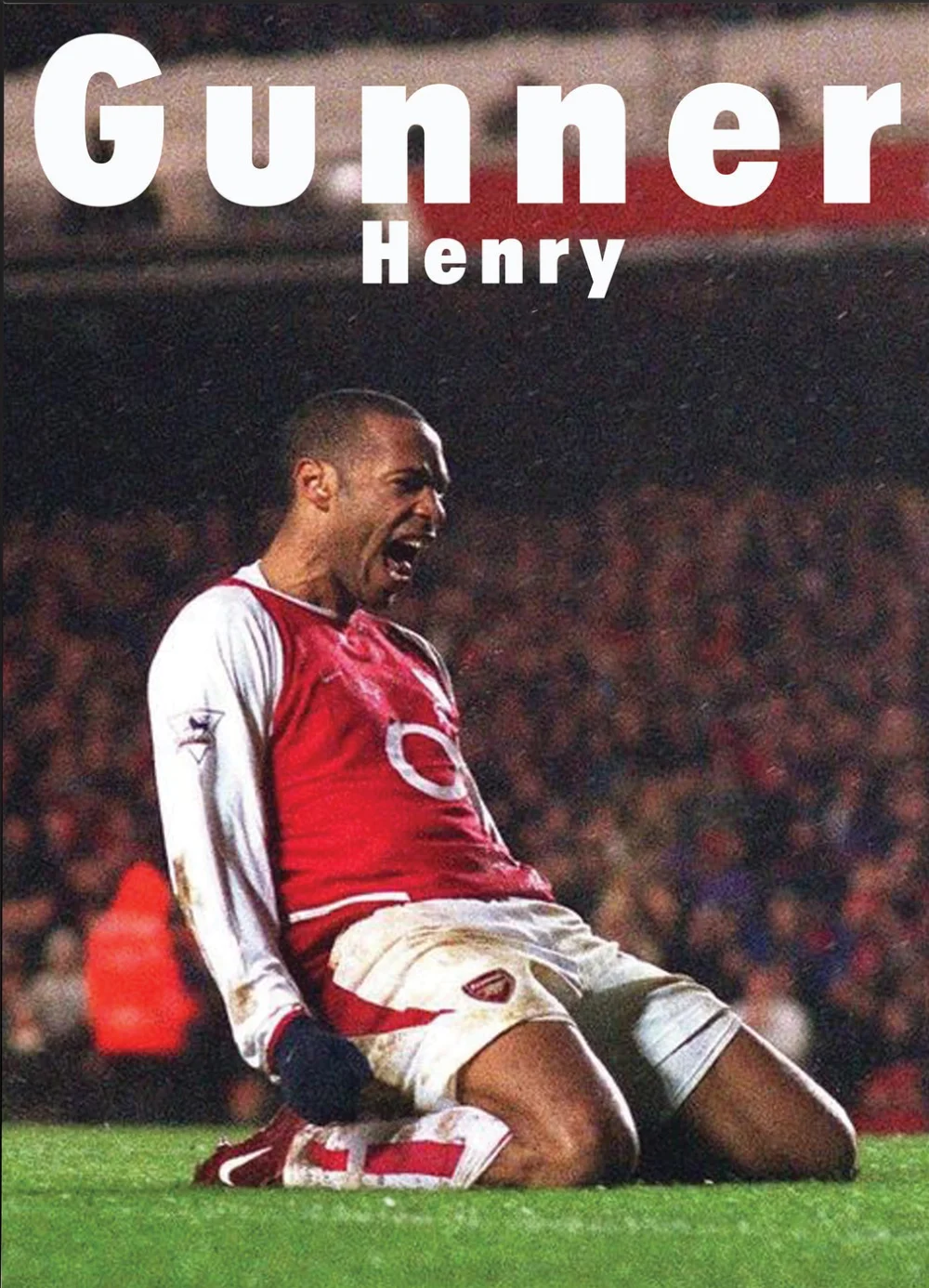 Pintar por Números - Thierry Henry, foto 2