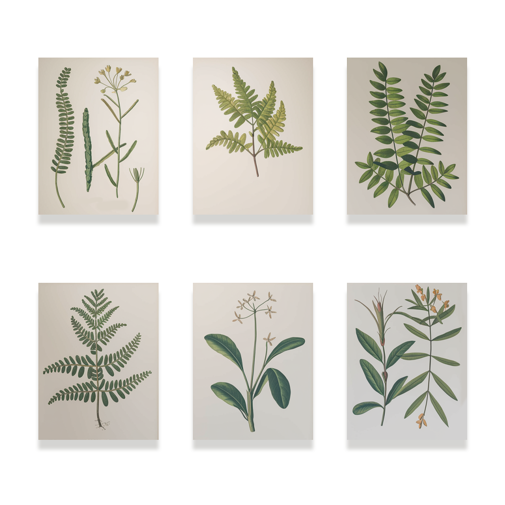 Pintar por números - 6 mini pinturas | Conjunto de plantas botánicas edición 2.0