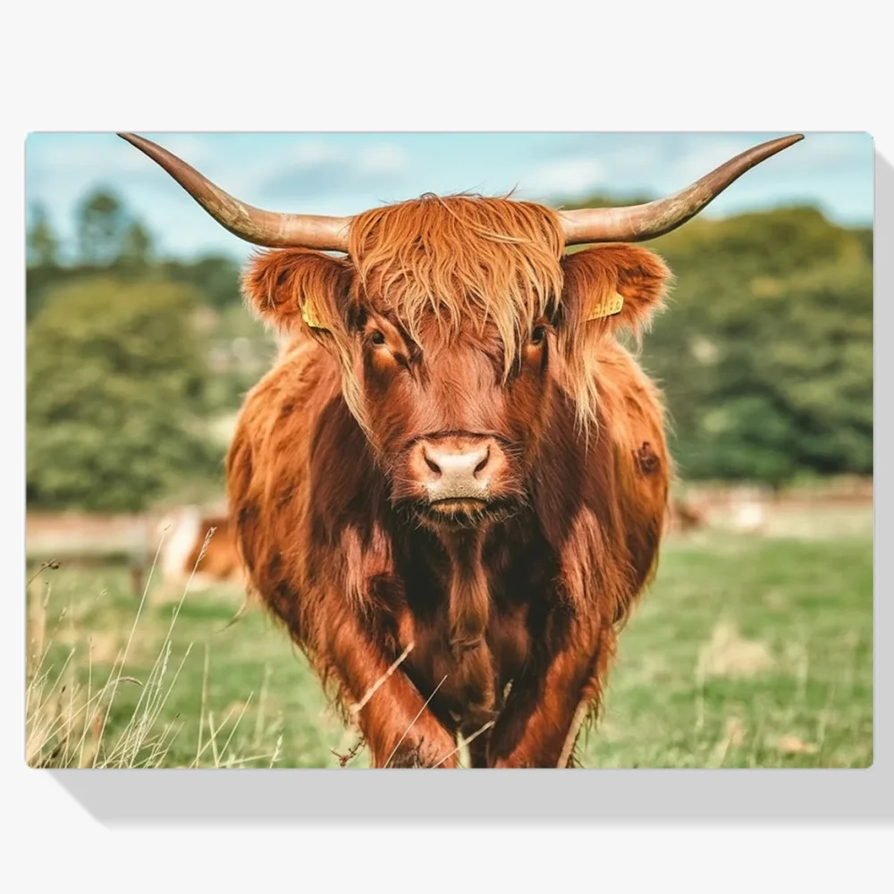 Pintar por Números - Montañés escocés