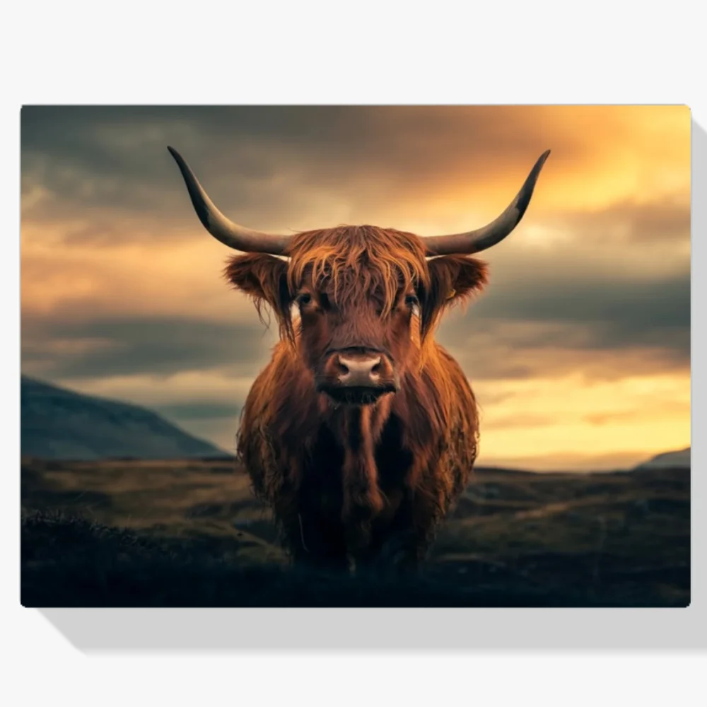 Pintar por Números - Montañés escocés