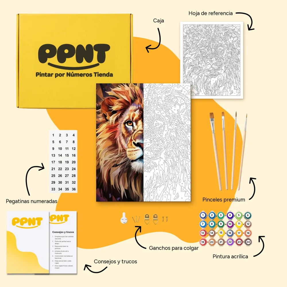 Pintar por Números - Constelación - Leo multicolor