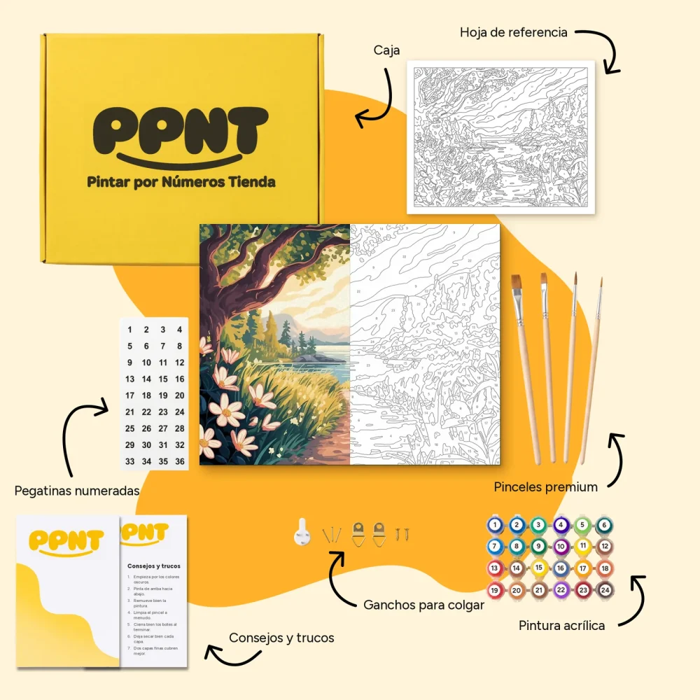 Pintar por Números - Bosque Estelar