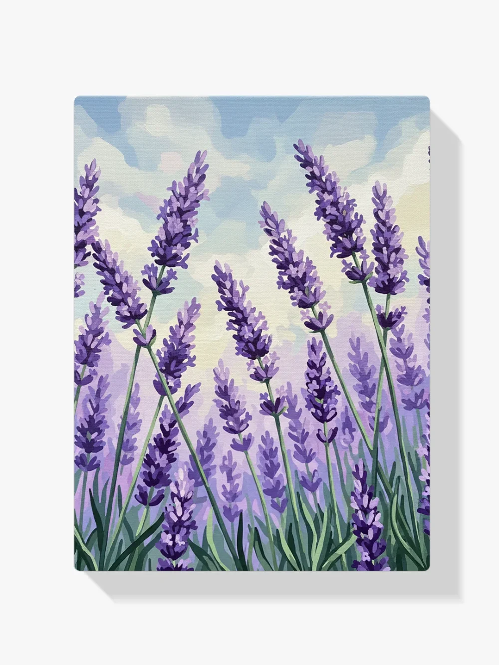 Pintar por Números - Flores de lavanda, foto 1