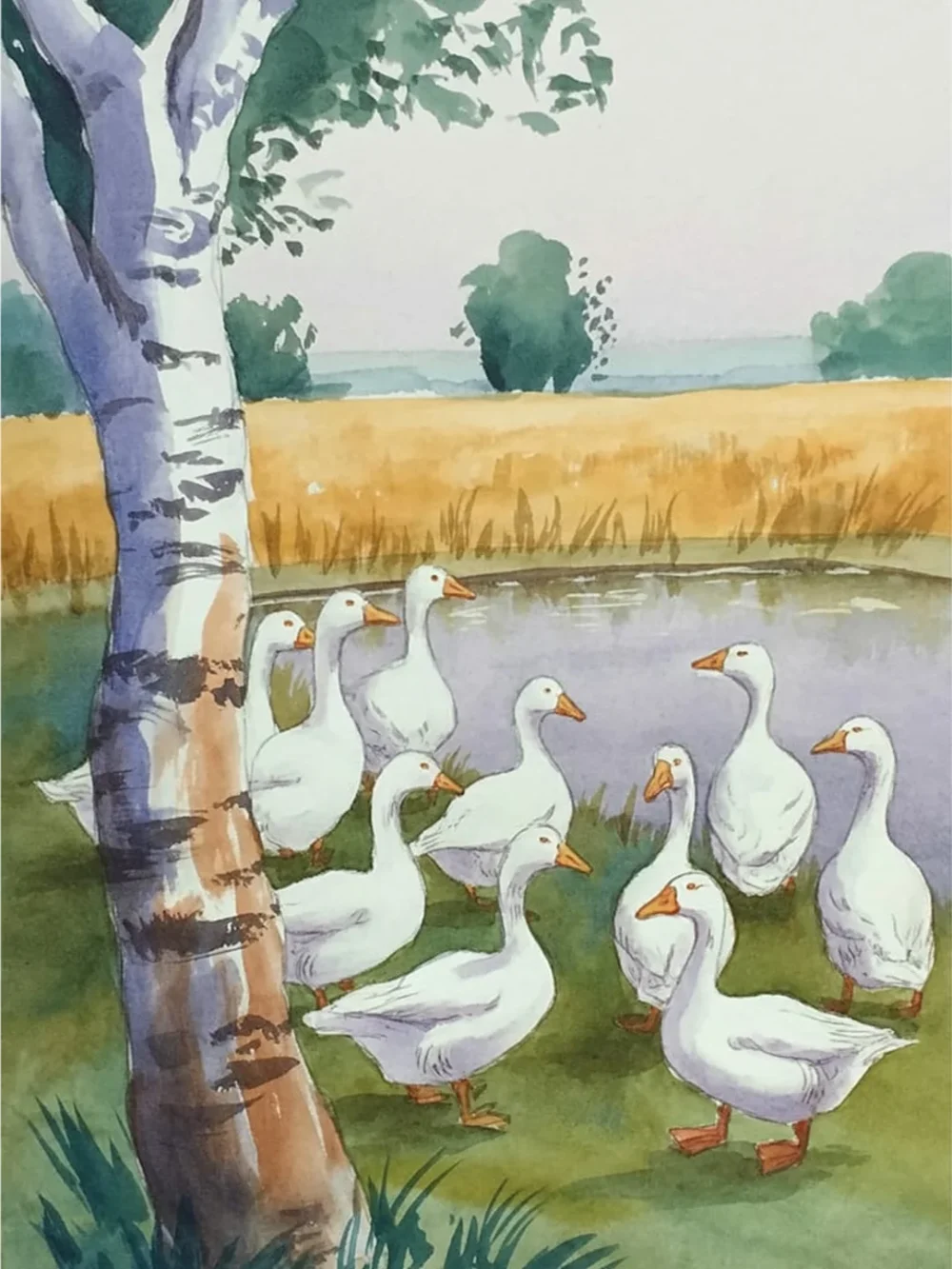 Pintar por Números - Granja de gansos, foto 2