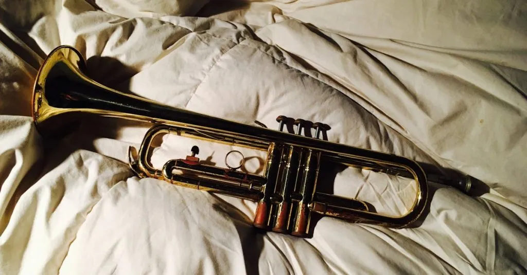 Instrumentos característicos de la música clásica en una orquesta