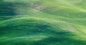 El paisaje en la pintura clásica: belleza, emociones y técnicas artísticas