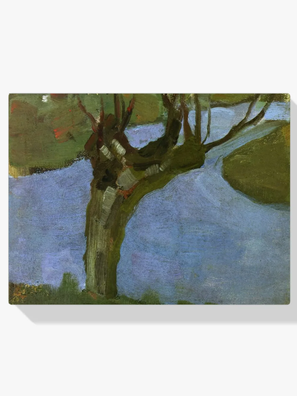 Pintar por números Acequia con un sauce adulto