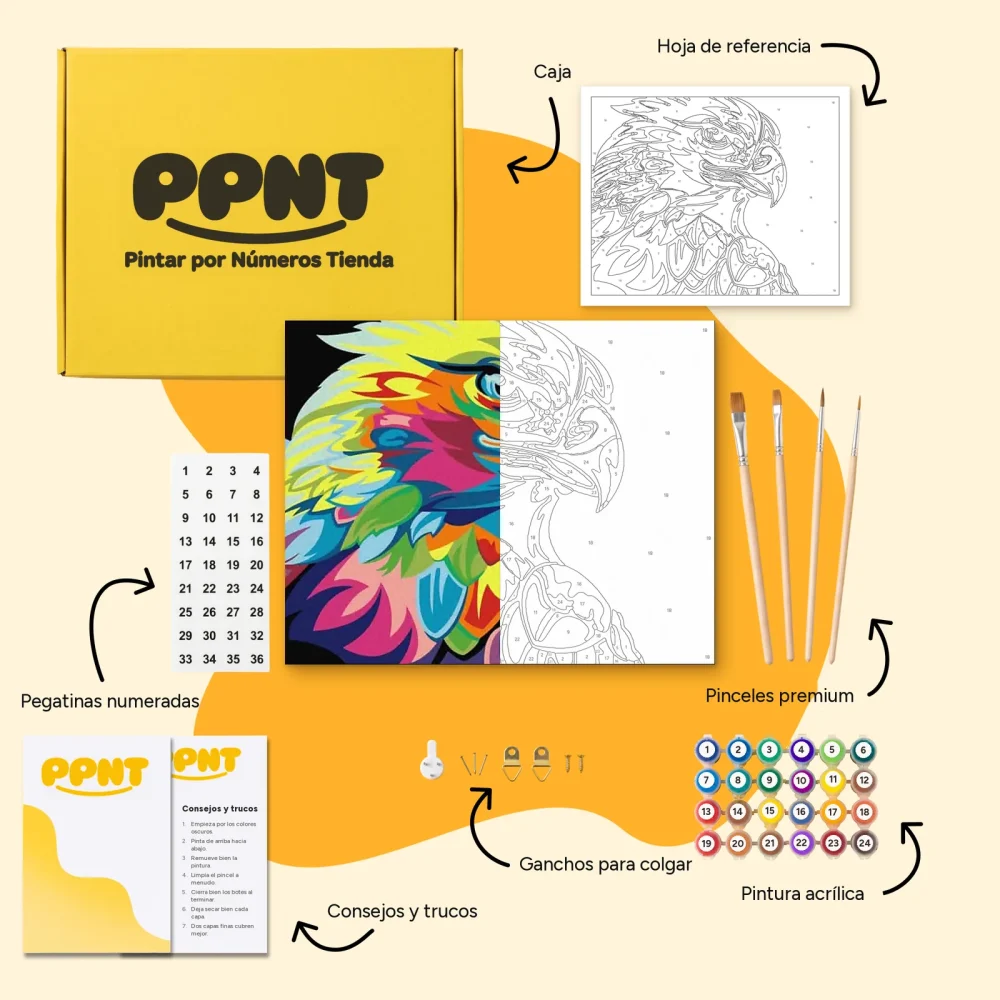 Pintar por Números - Águila - Para niños