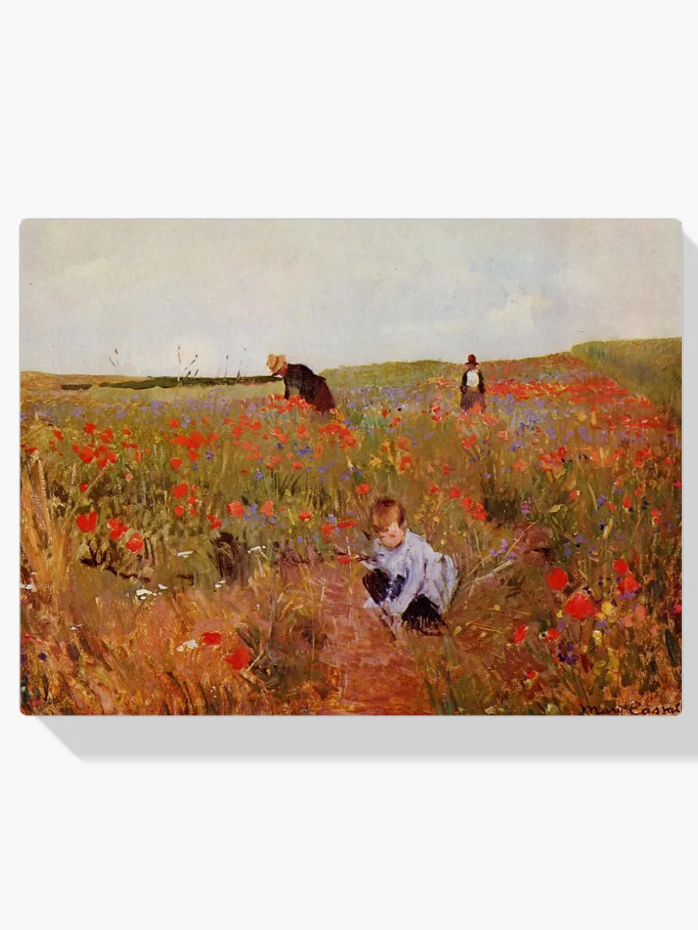 Pintar por números Amapolas en un campo