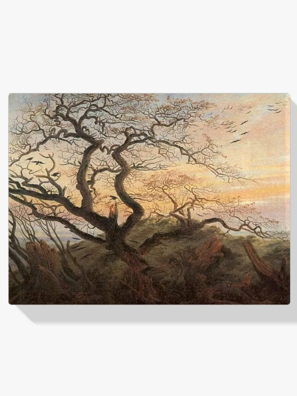 Pintar por números Árbol con cuervos
