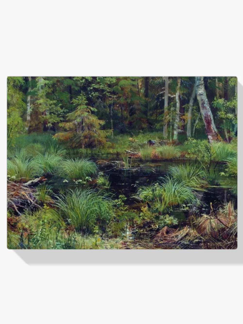 Pintar por números Arroyo en el bosque (3)