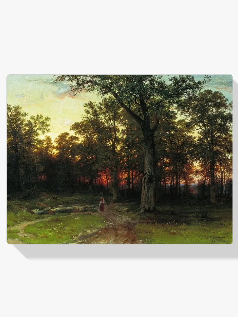 Pintar por números Atardecer en el bosque