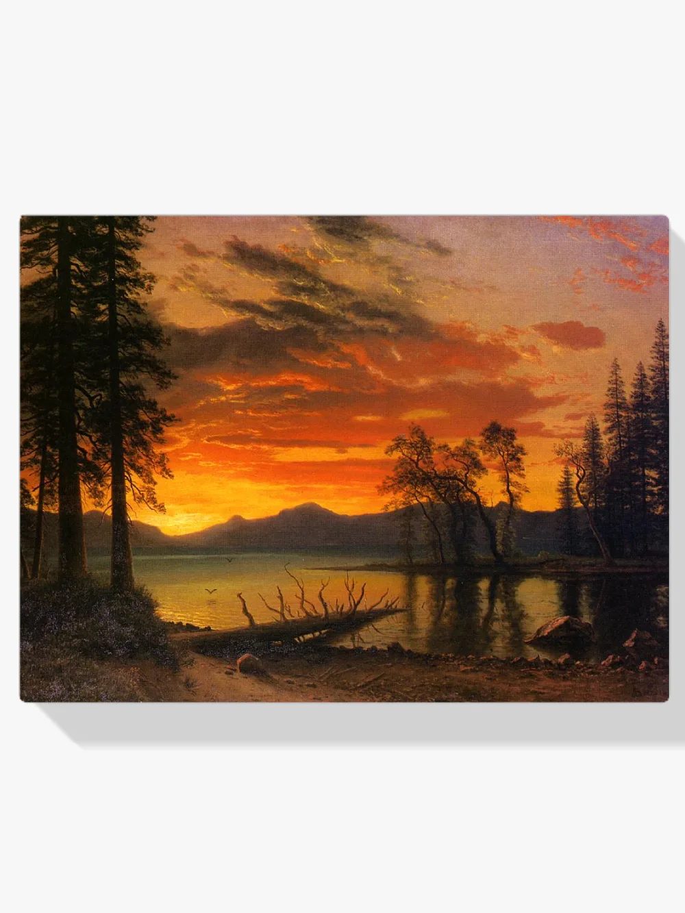 Pintar por números Atardecer sobre el río