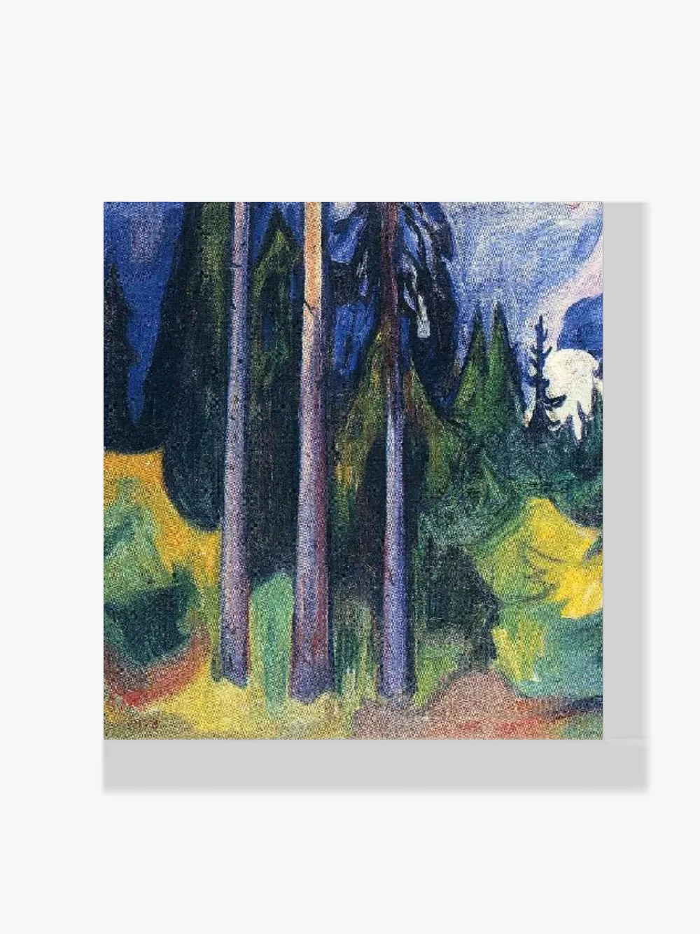 Pintar por números Bosque