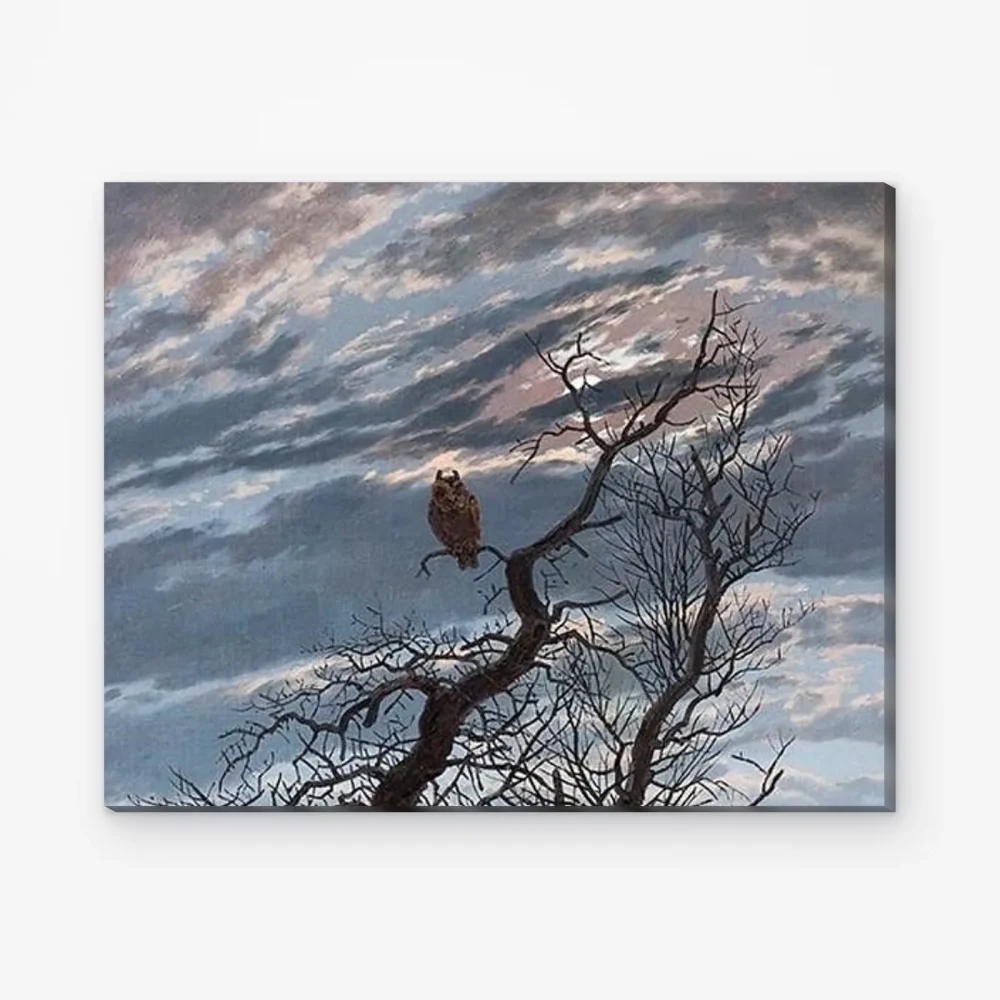 Pintar por Números - Búho en un árbol desnudo