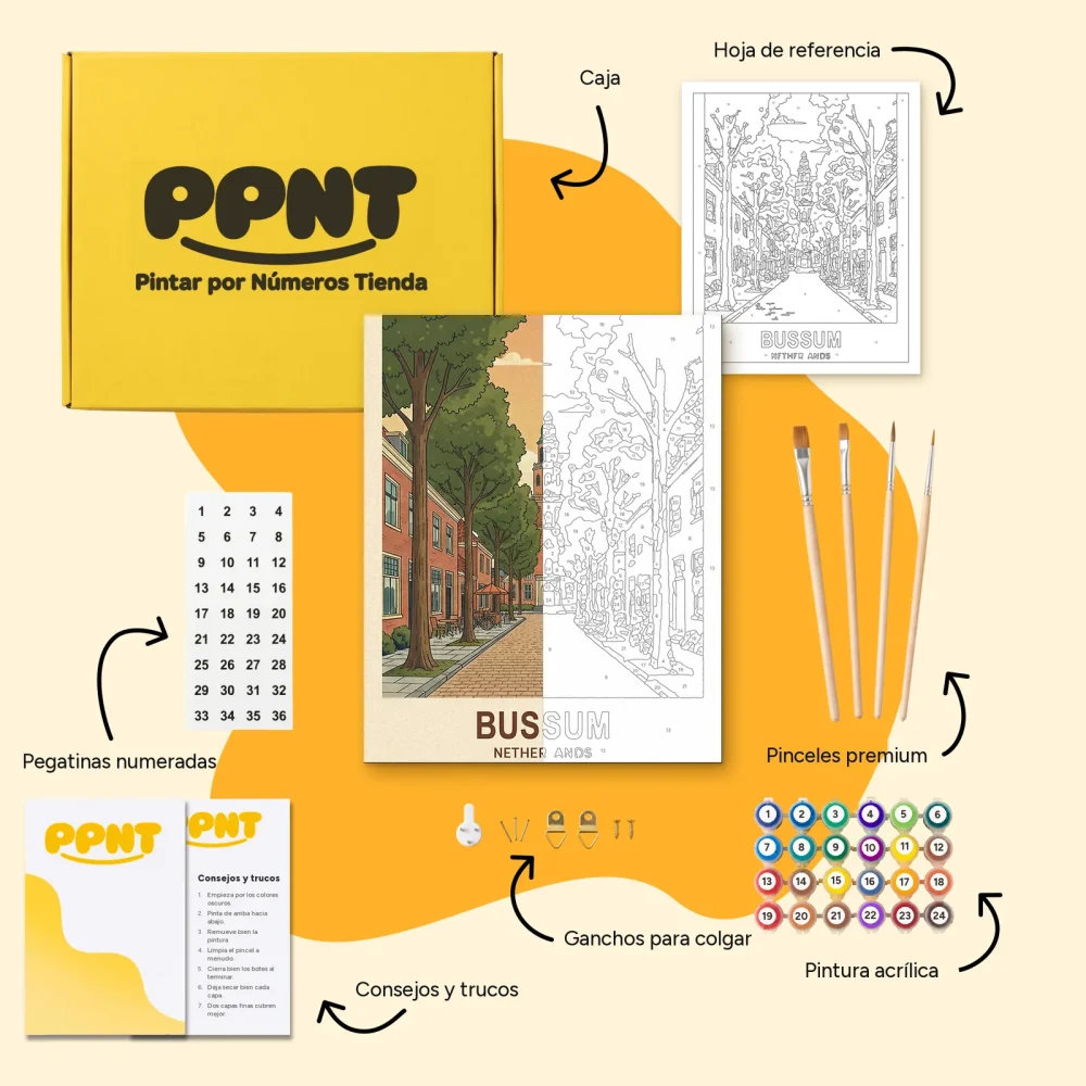 Pintar por Números - Bussum