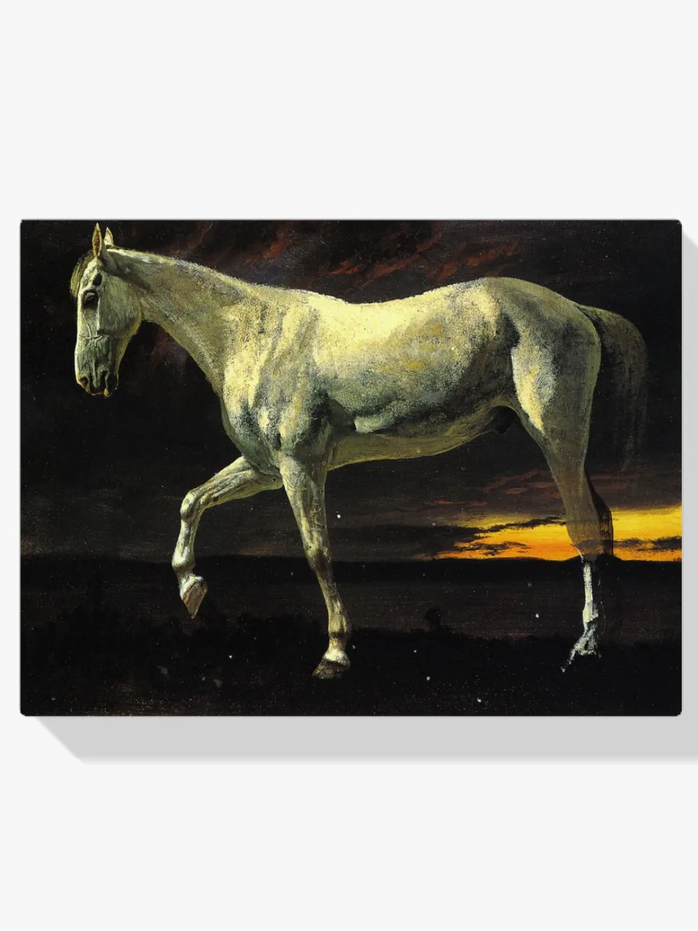 Pintar por números Caballo blanco al atardecer