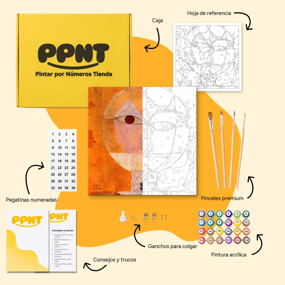 Pintar por Números - Cabeza de hombre