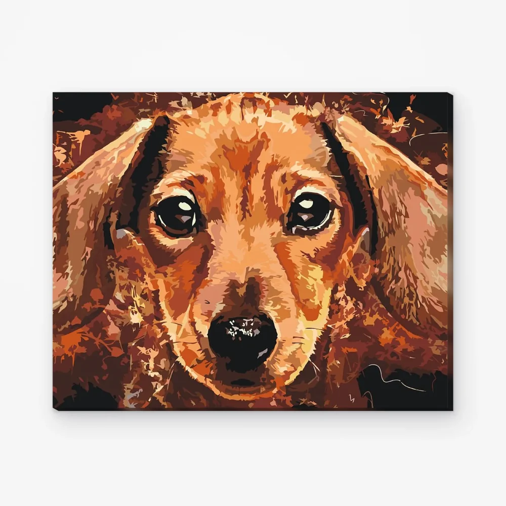 Pintar por Números - Cabeza de teckel