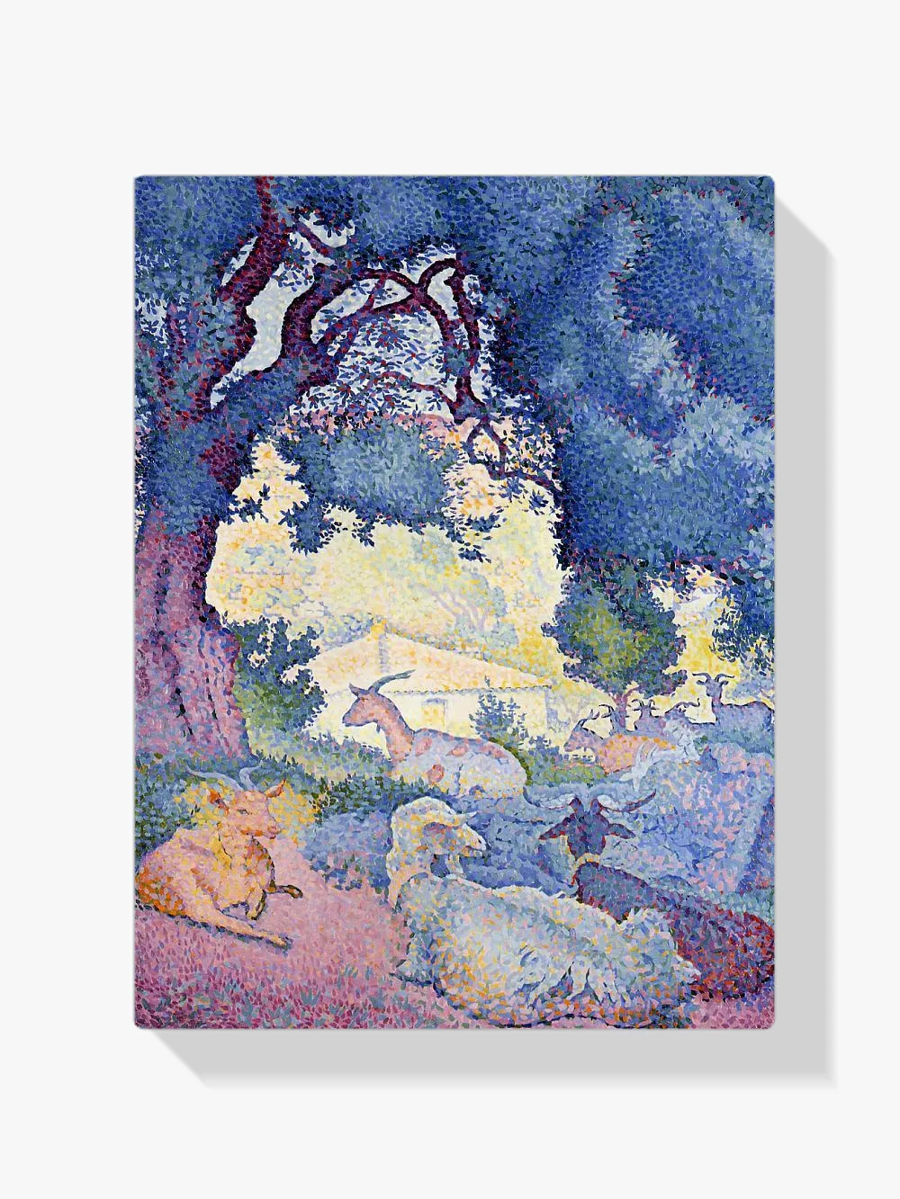 Pintar por números Cabras