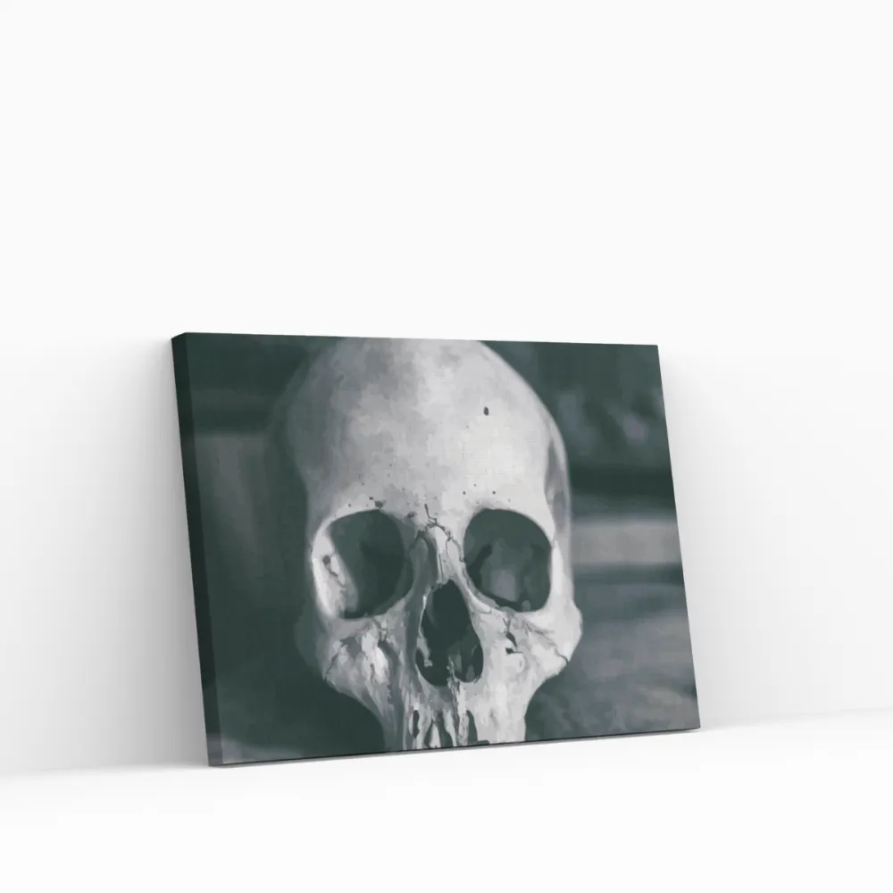 Pintar por números Calavera humana