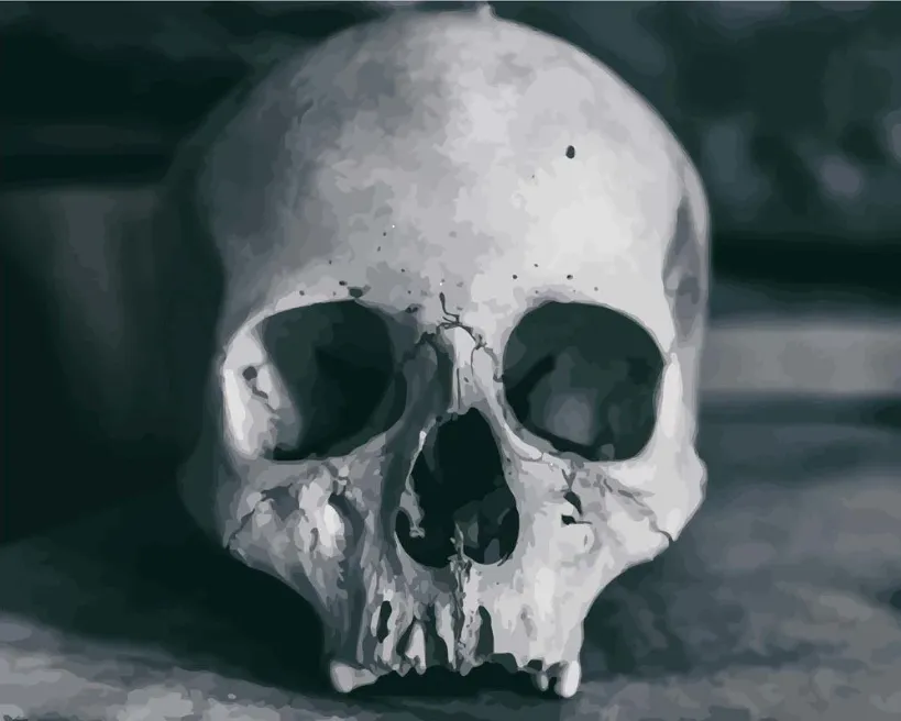 Pintar por números Calavera humana – foto 2
