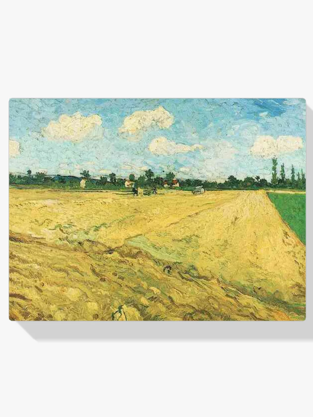 Pintar por números Campo arado - Van Gogh