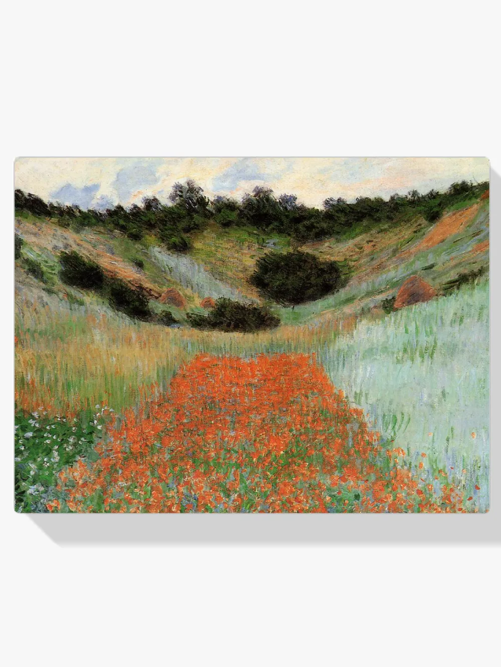Pintar por números Campo de amapolas en una hondonada cerca de Giverny