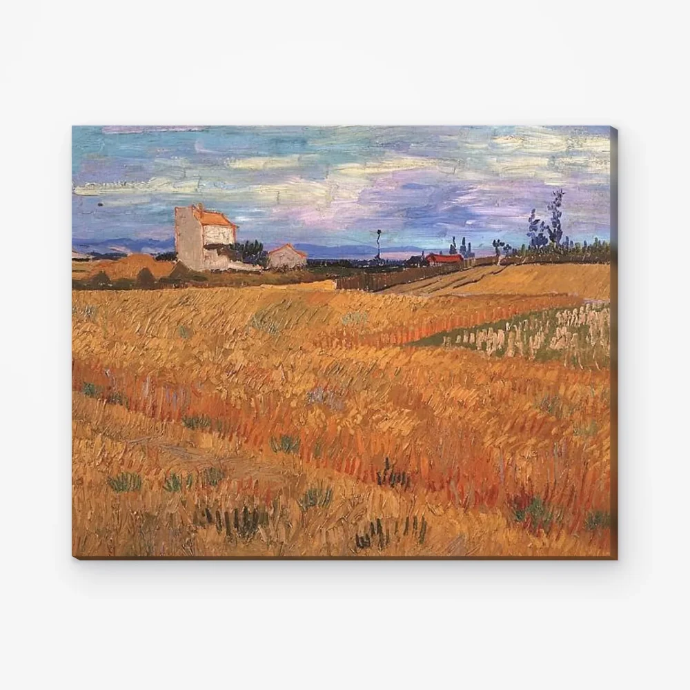 Pintar por Números - Campo de trigo