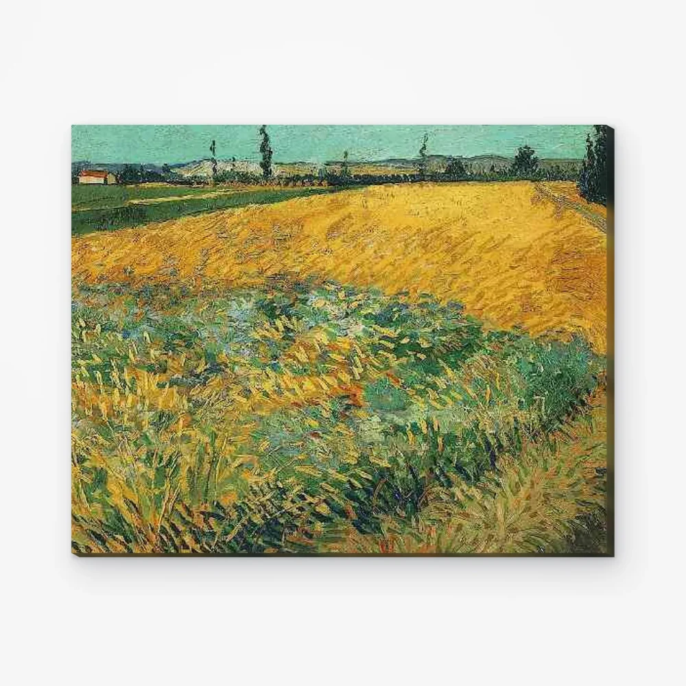 Pintar por Números - Campo de trigo con los Alpilles al fondo