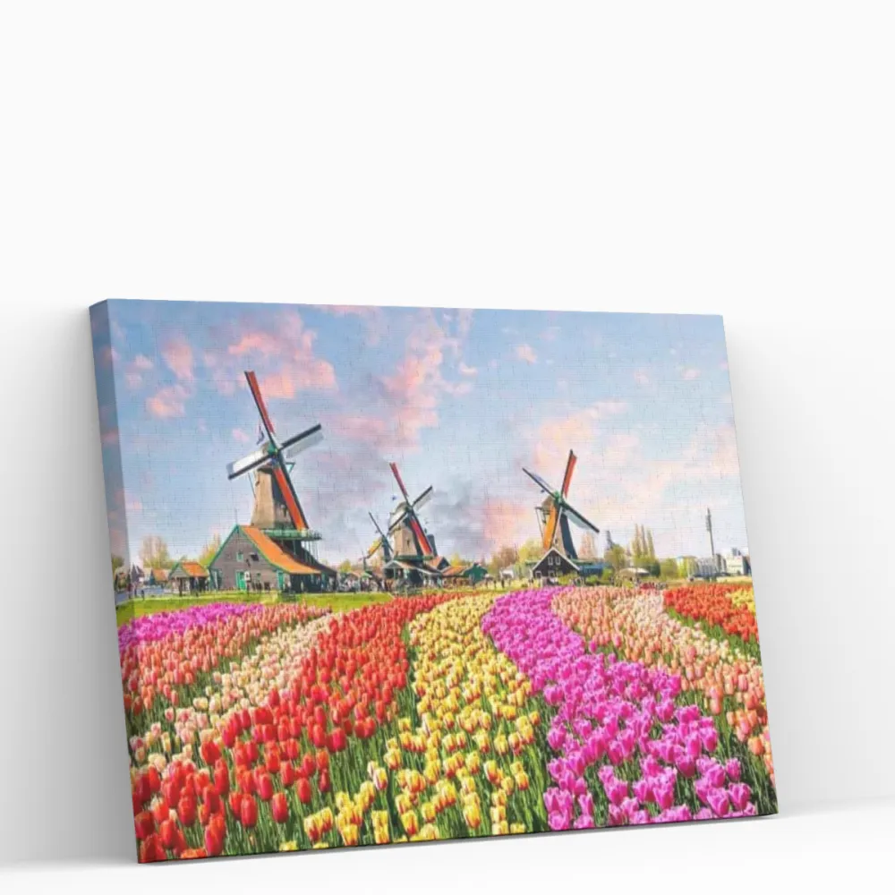 Pintar por números Campo de tulipanes