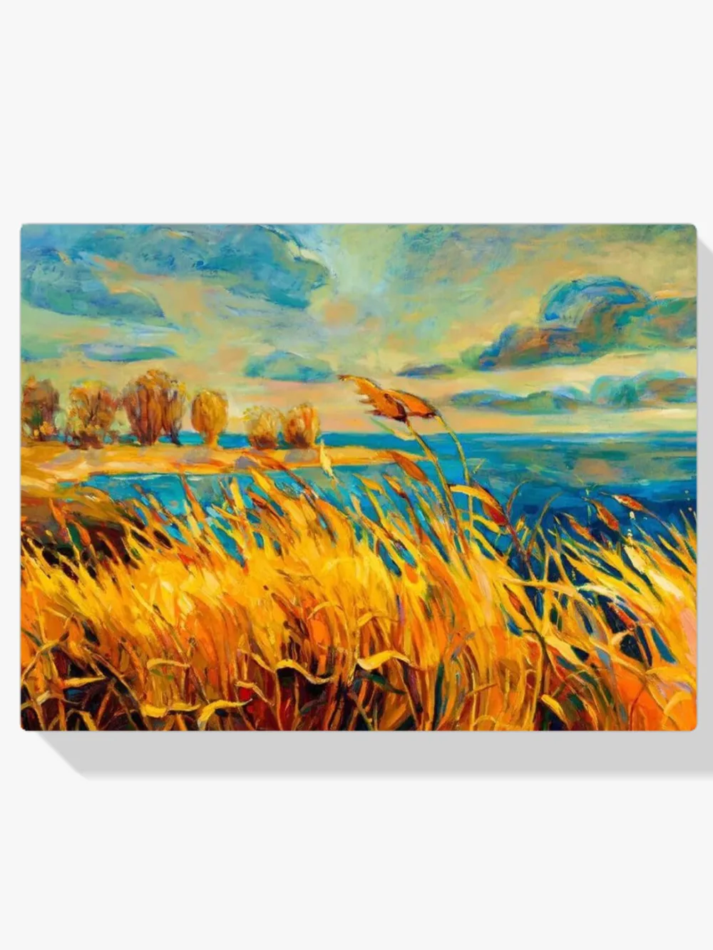 Pintar por números Campos dorados