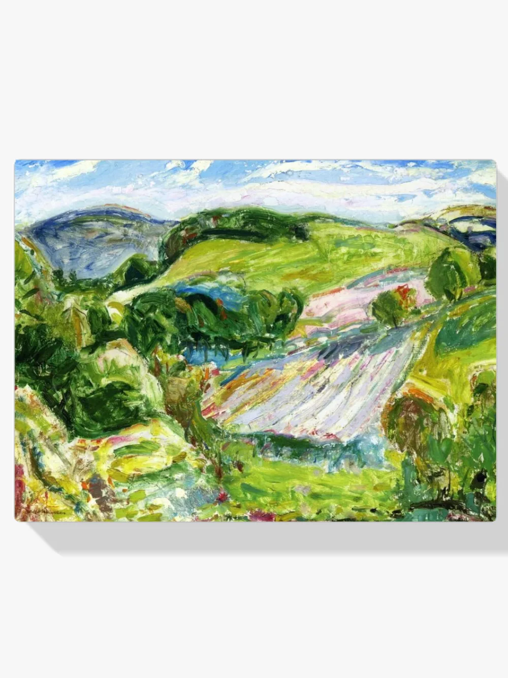 Pintar por números Campos