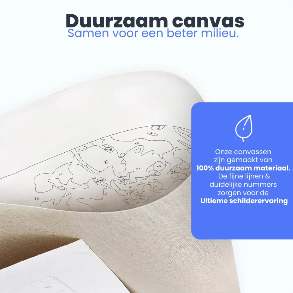 Pintar por números Cara a cara – foto 6