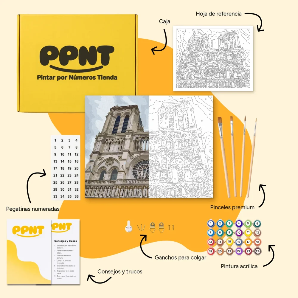 Pintar por Números - Catedral de Notre Dame 2