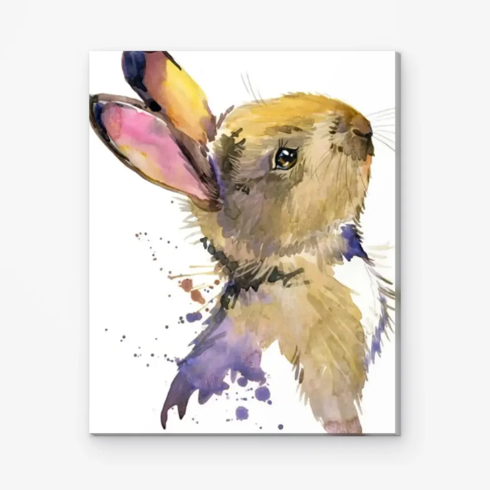 Pintar por Números - Conejo esponjoso