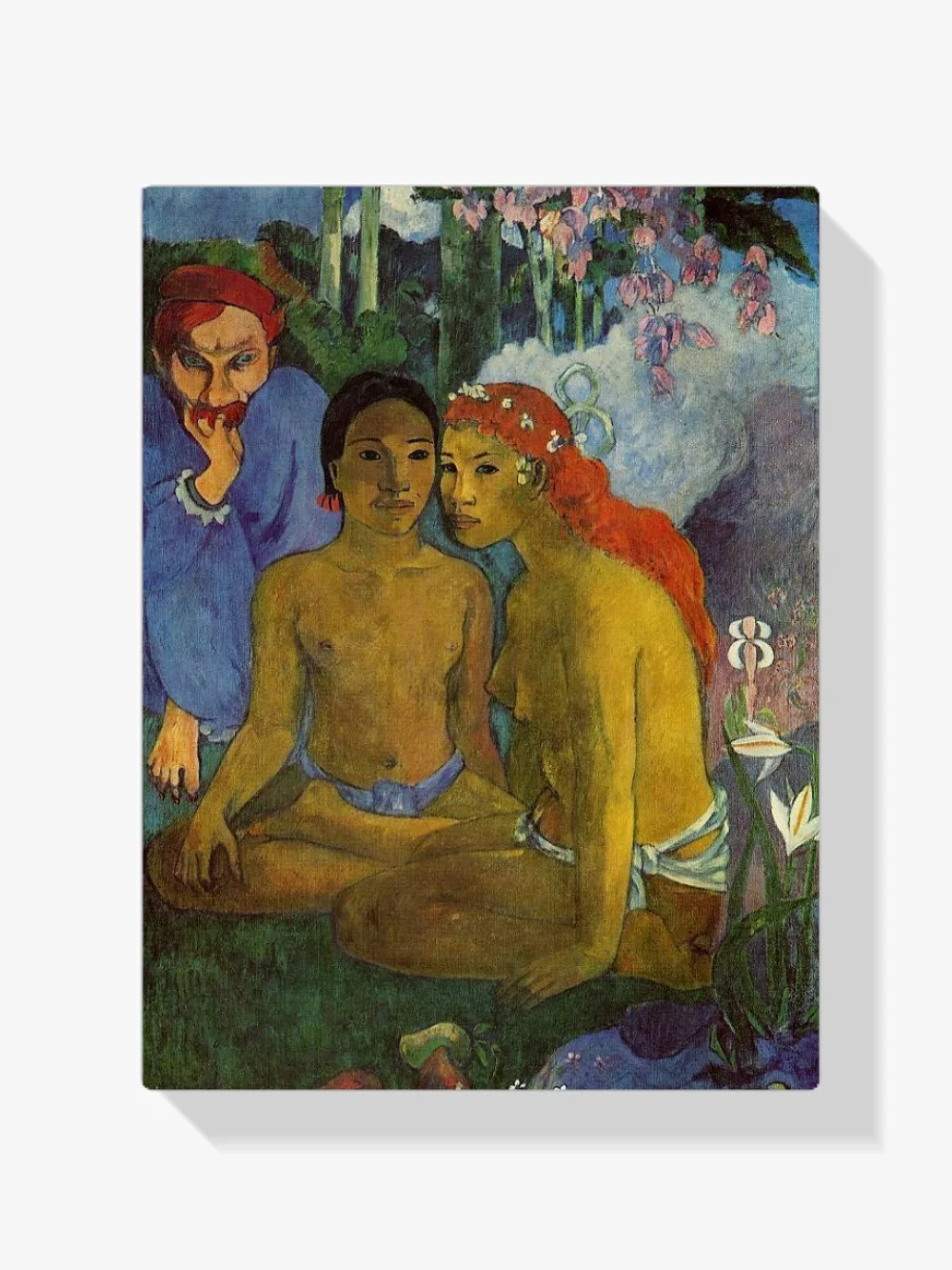 Pintar por números Contes barbares (Cuentos primitivos)