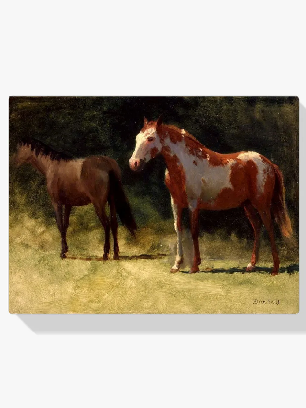 Pintar por números Dos caballos