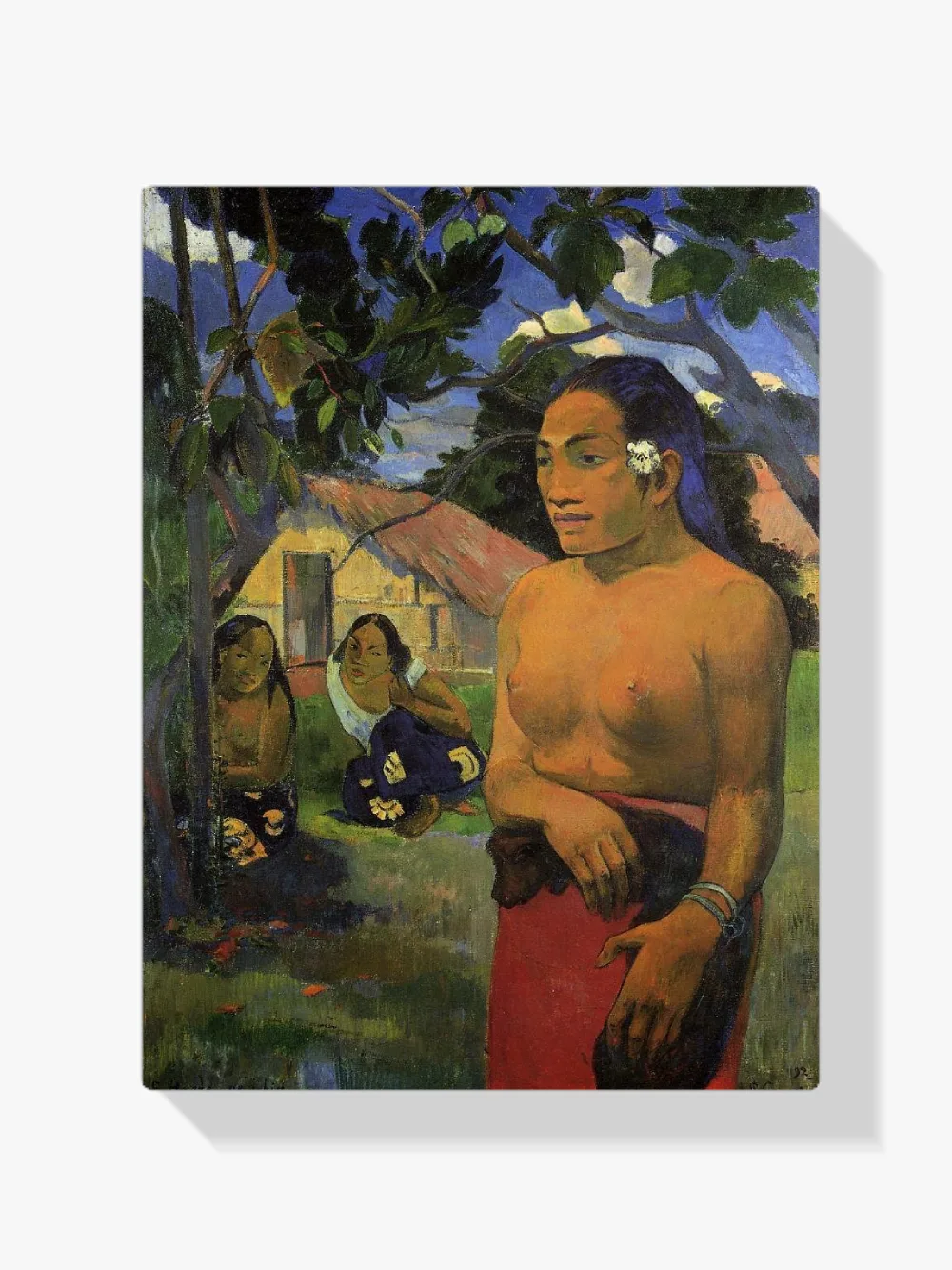 Pintar por números E haere oe i hia (¿Adónde vas?)