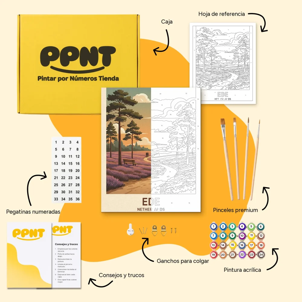 Pintar por Números - Ede