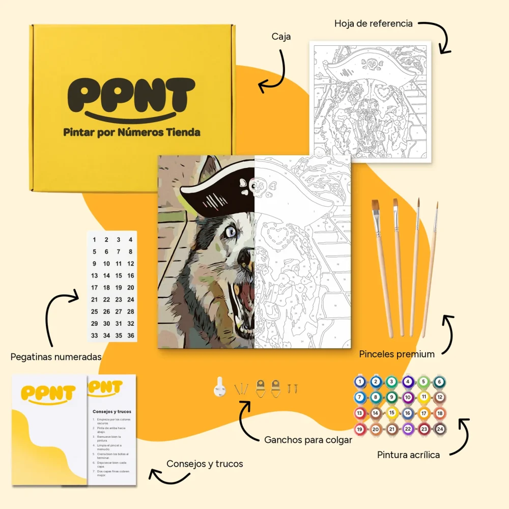 Pintar por Números - El lobo pirata