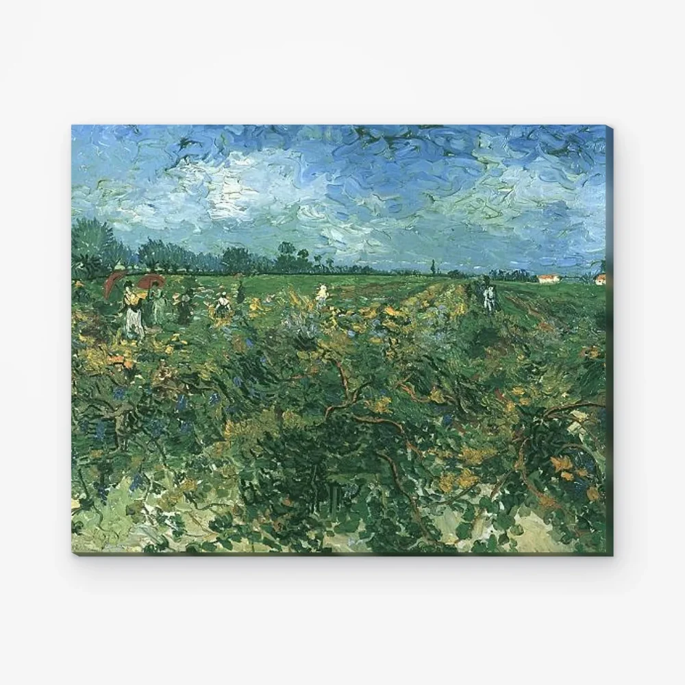 Pintar por Números - El viñedo verde