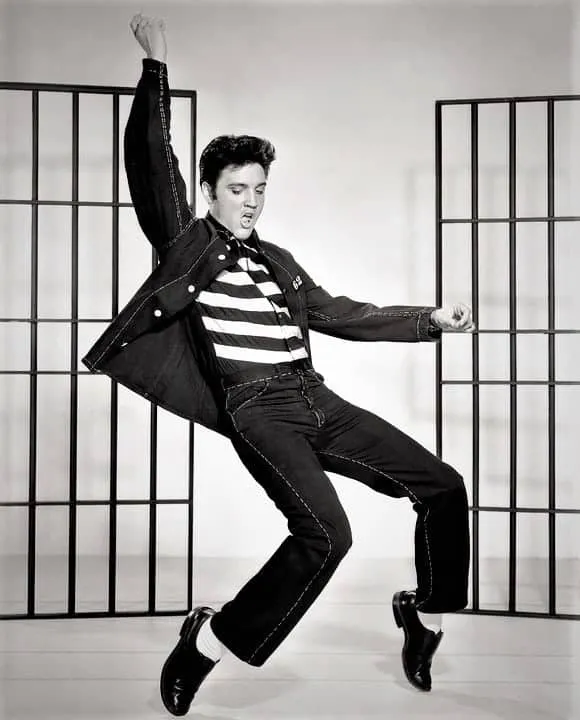 Pintar por números Elvis Presley bailando – foto 2