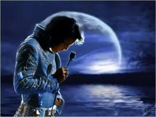 Pintar por números Elvis Presley de noche – foto 2