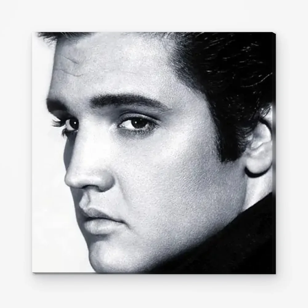 Pintar por Números - Elvis Presley en blanco y negro
