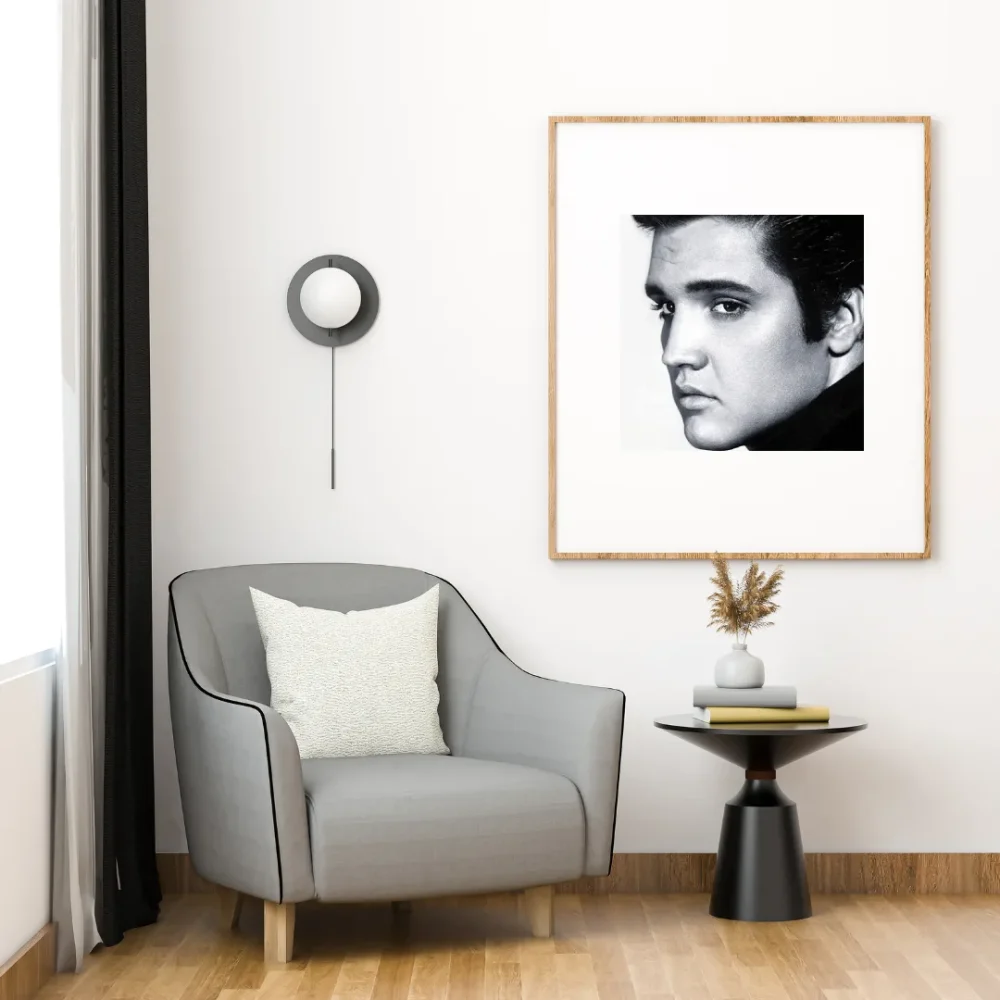 Pintar por números Elvis Presley en blanco y negro – foto 4